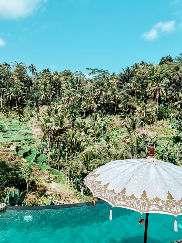 Bali met kinderen Ubud activiteiten Bali met kinderen Ubud activiteiten