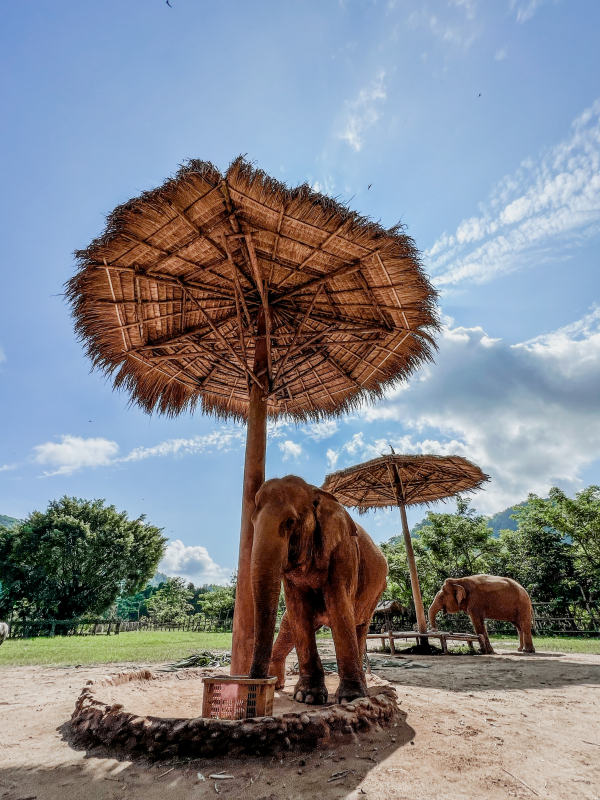 Chiang Mai met kleine kinderen