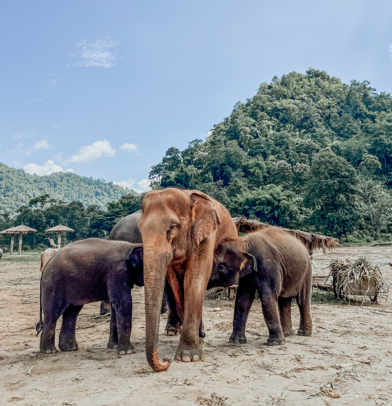 Chiang Mai met kleine kinderen
