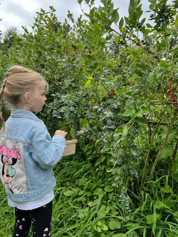Vancouver met kinderen Canada activiteiten