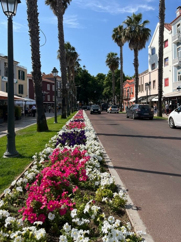 Lissabon met kinderen activiteiten Lissabon met kinderen activiteiten